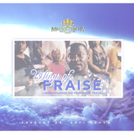 DD - The Wings of Praise - Miracle Arena Bookstore