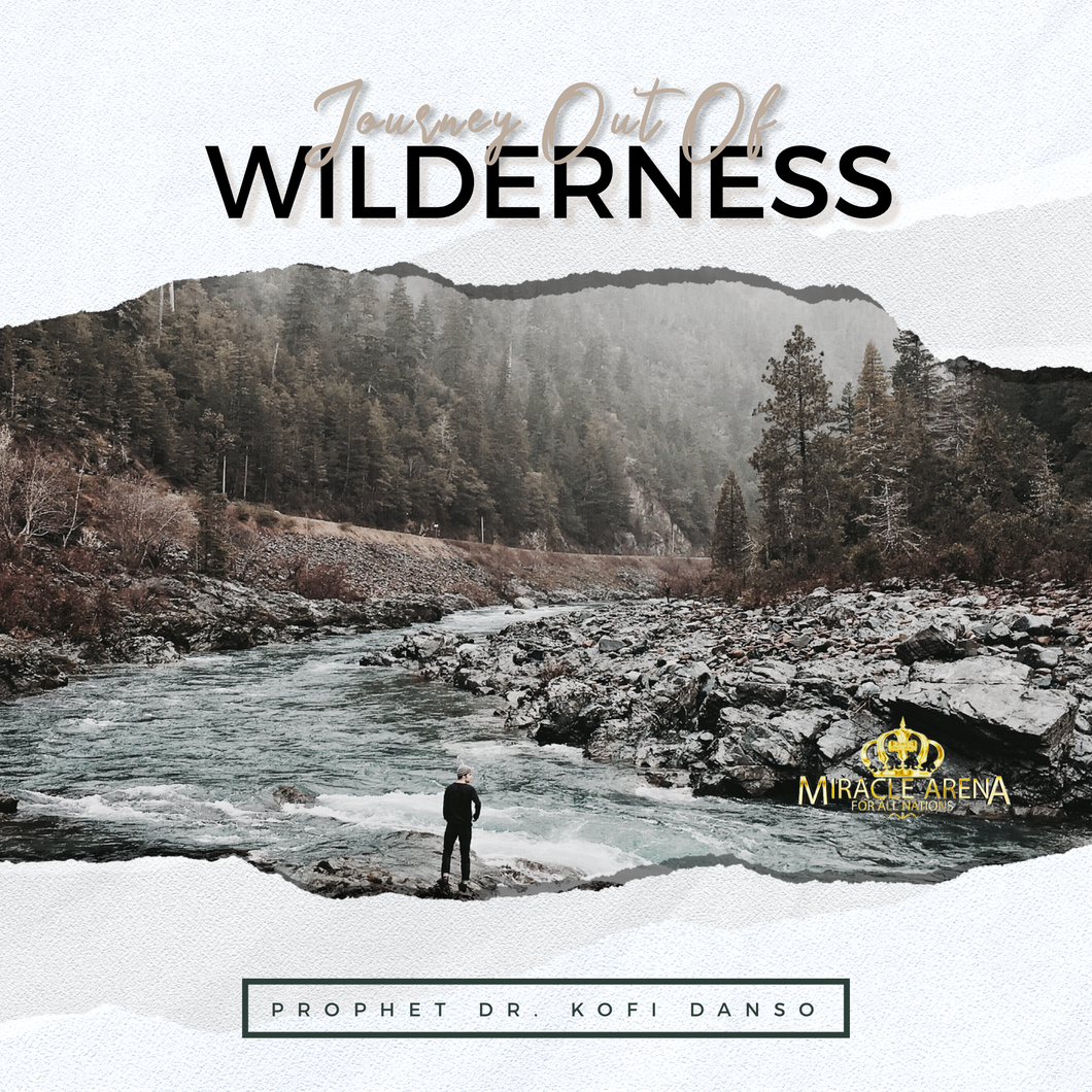 DD - Journey Out Of Wilderness - Miracle Arena Bookstore